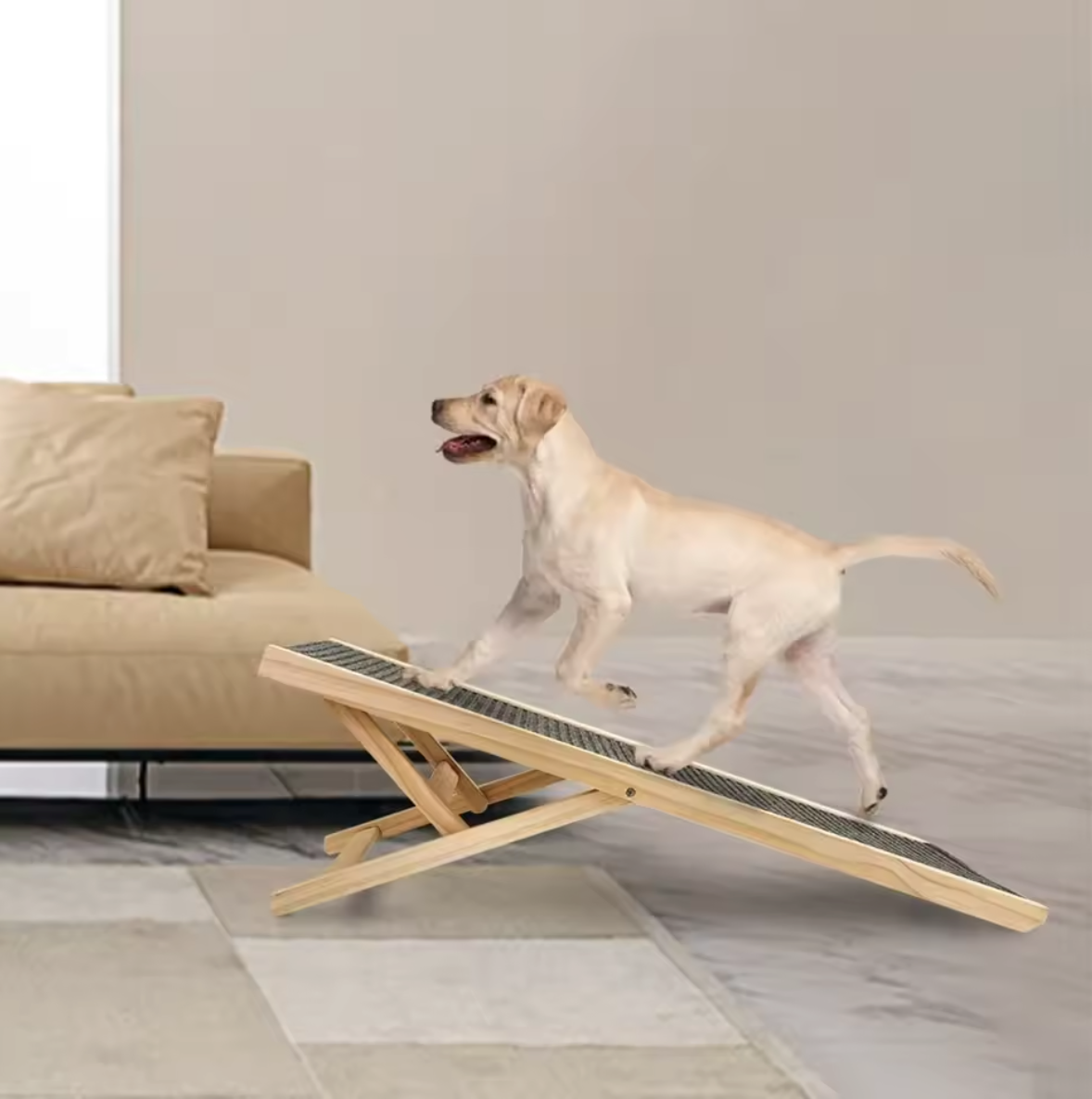 Dog Ramps