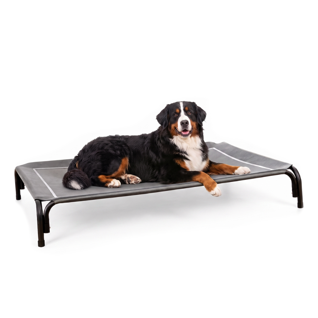 Elevated Dog Bed