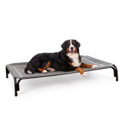 Elevated Dog Bed