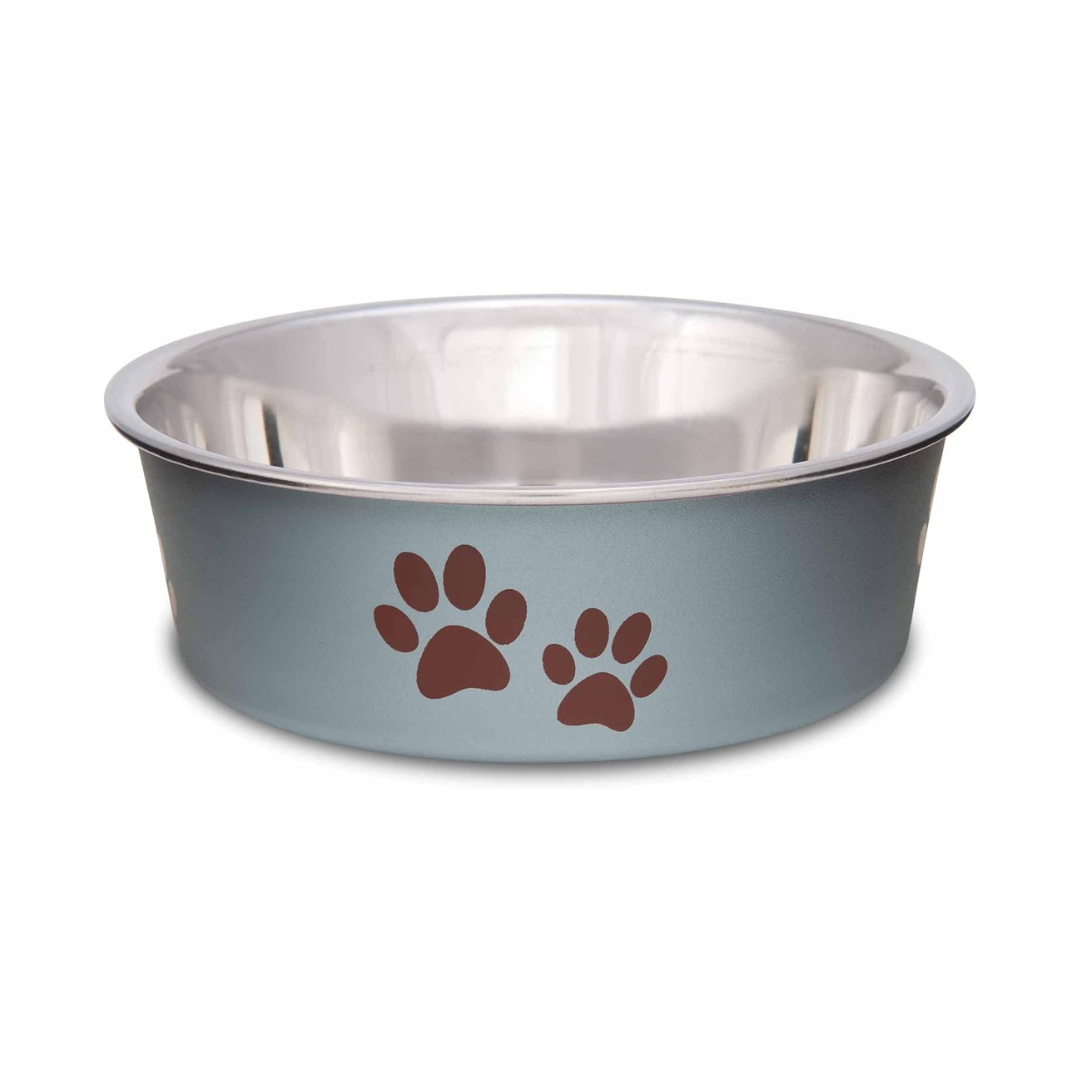 Stainless Steel Dog Bowl with Non-Slip Base