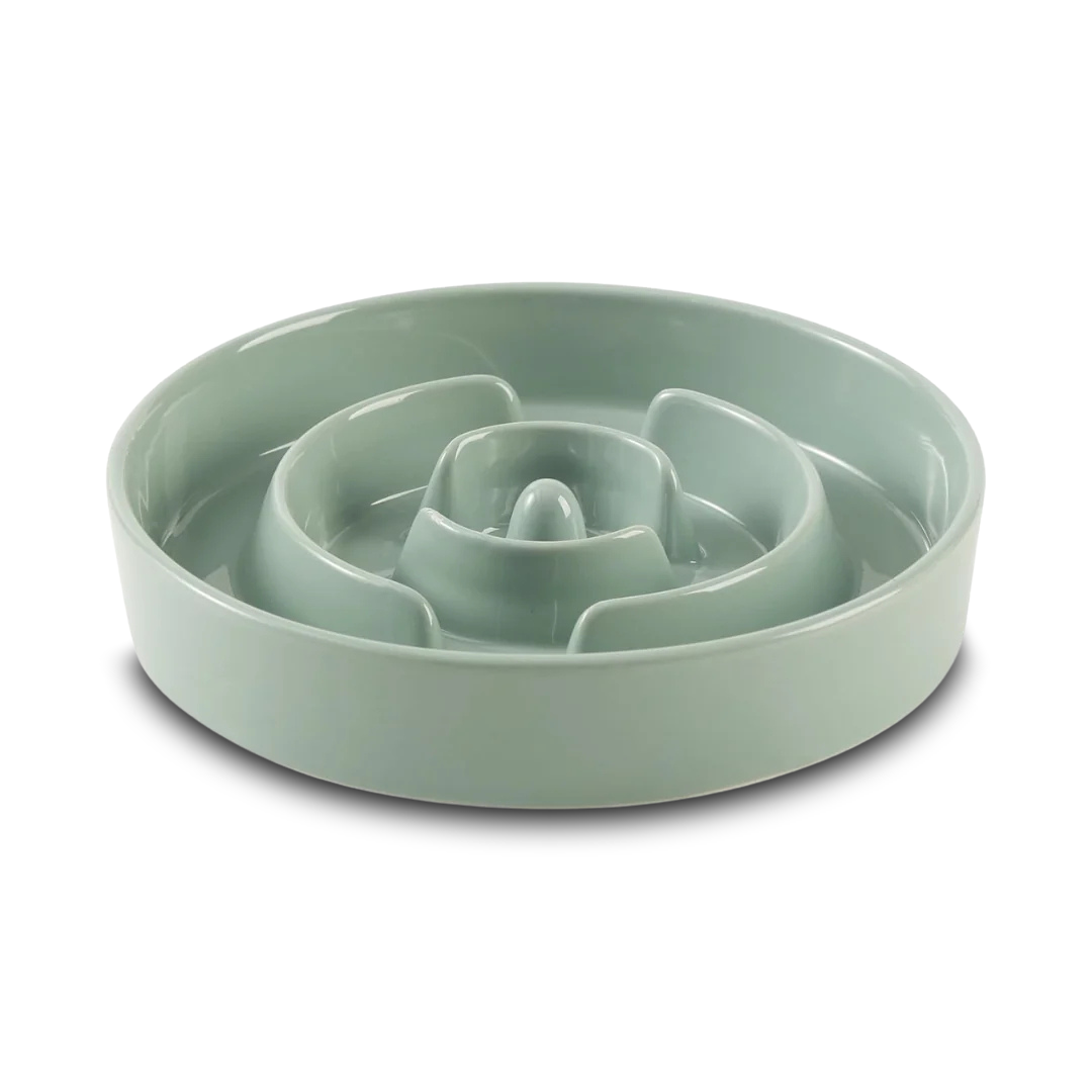 Ceramic Slow Feeder Dog Bowl
