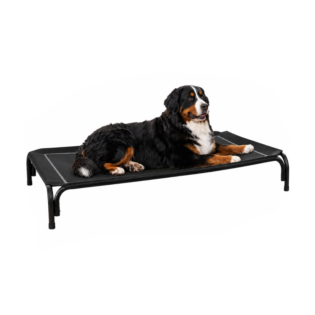 Elevated Dog Bed