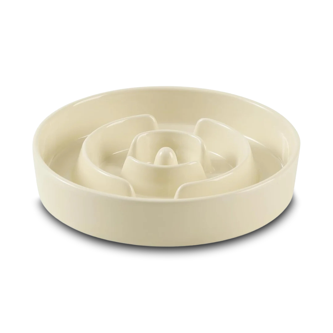 Ceramic Slow Feeder Dog Bowl