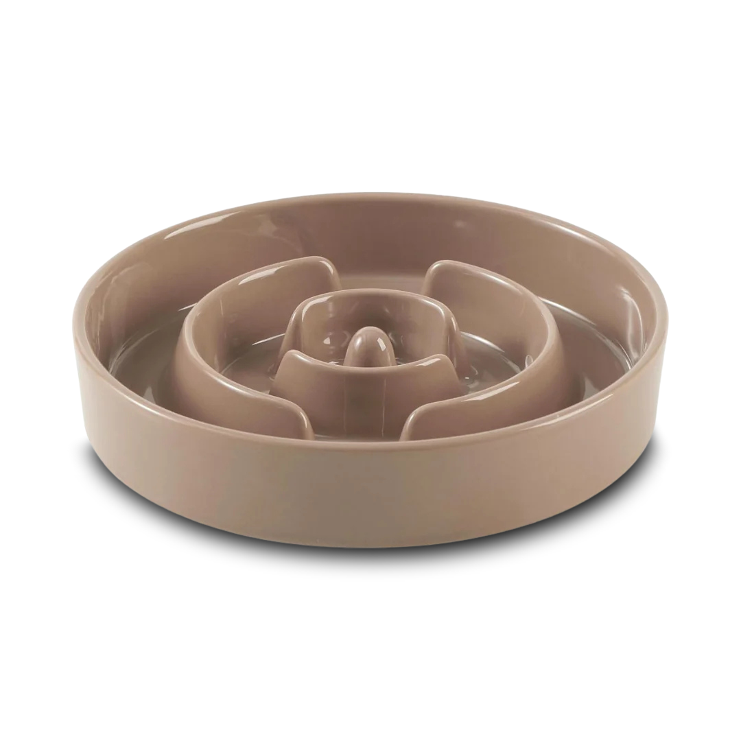 Ceramic Slow Feeder Dog Bowl
