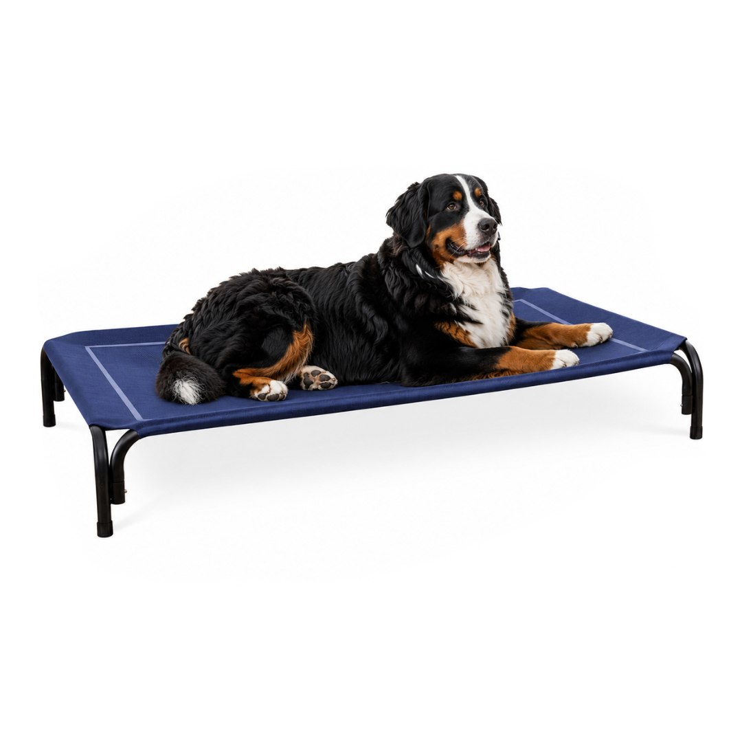 Elevated Dog Bed