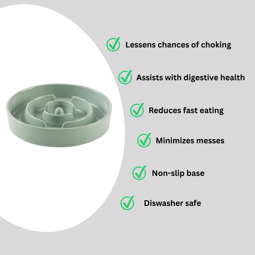 Ceramic Slow Feeder Dog Bowl
