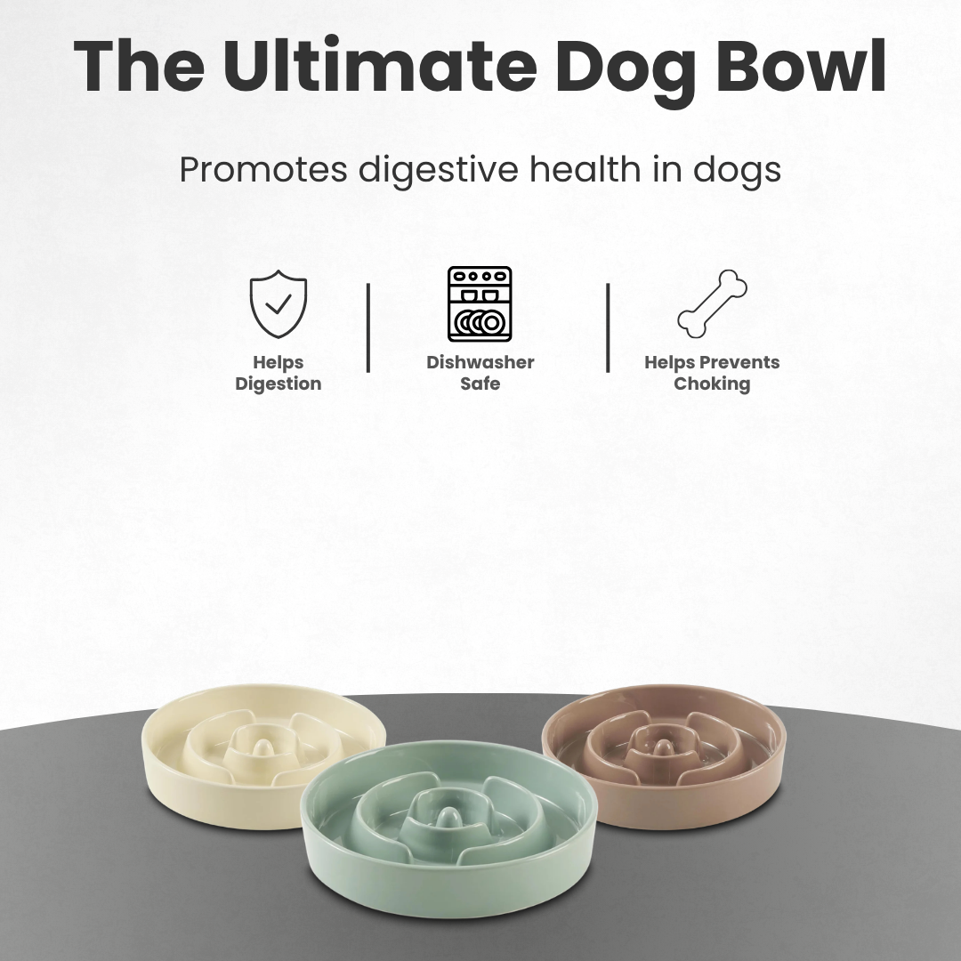 Ceramic Slow Feeder Dog Bowl