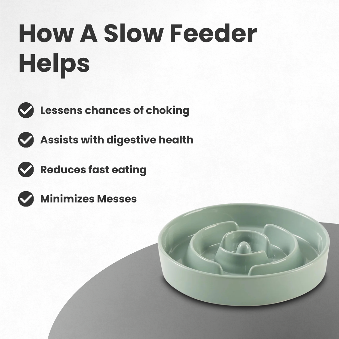Ceramic Slow Feeder Dog Bowl