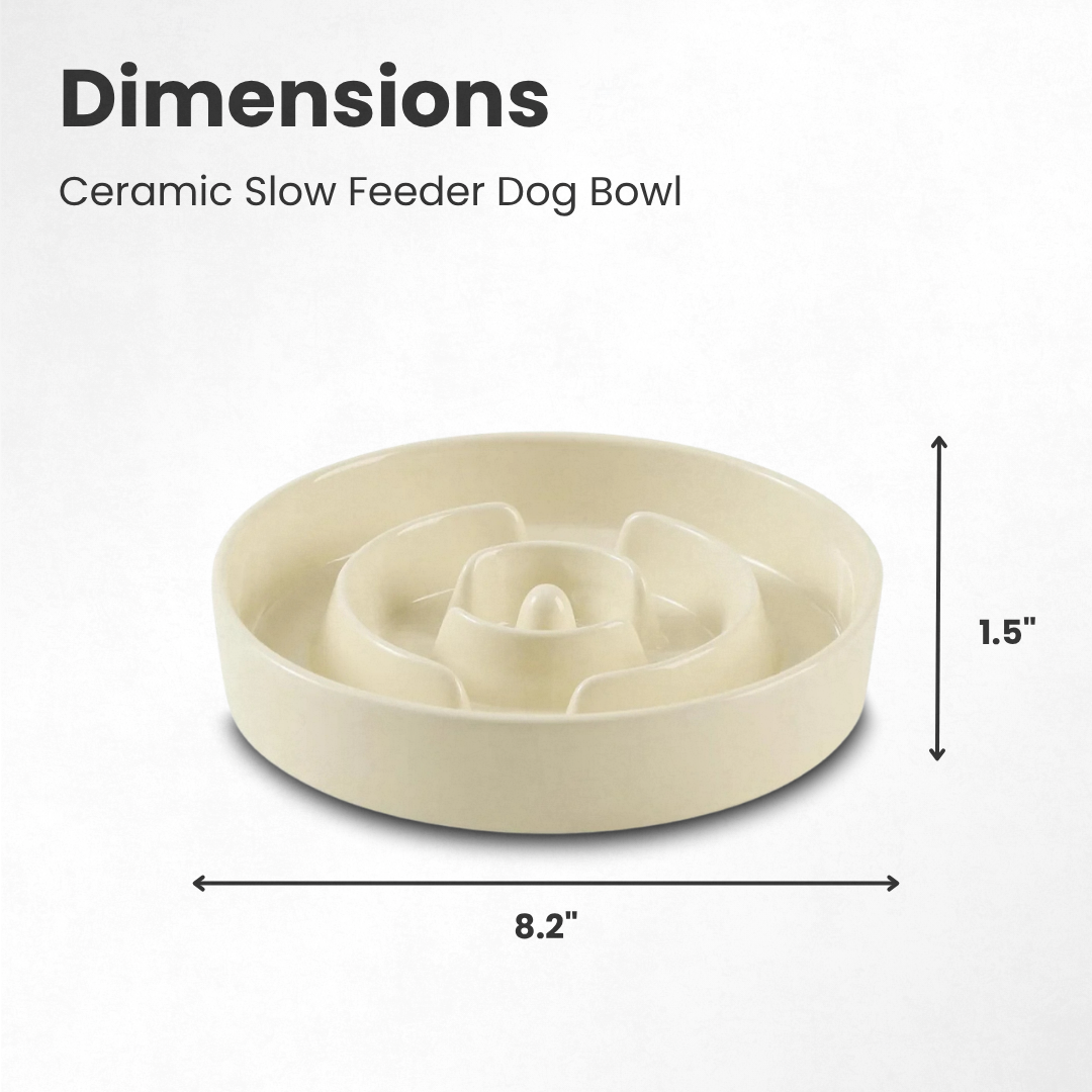 Ceramic Slow Feeder Dog Bowl