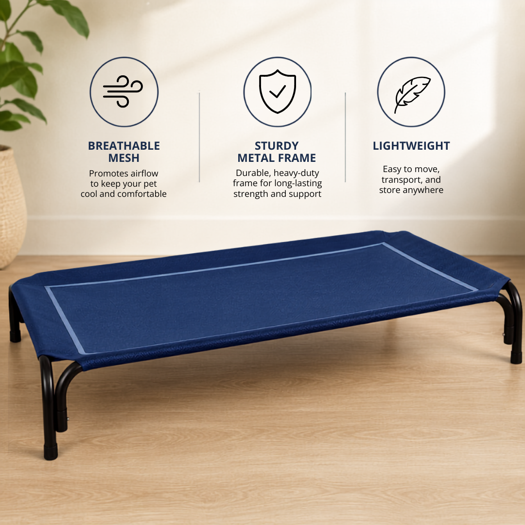 Elevated Dog Bed