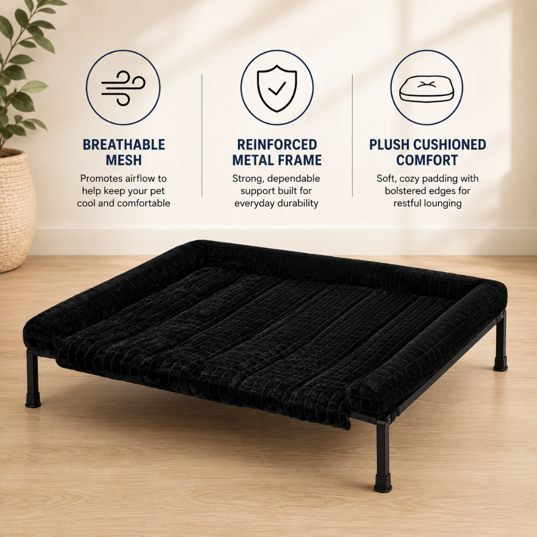 Luxe Elevated Dog Bed