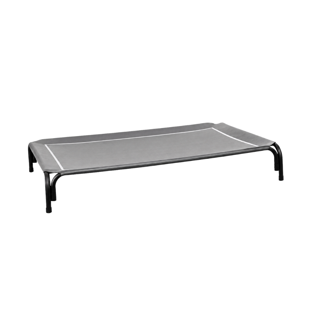 Elevated Dog Bed