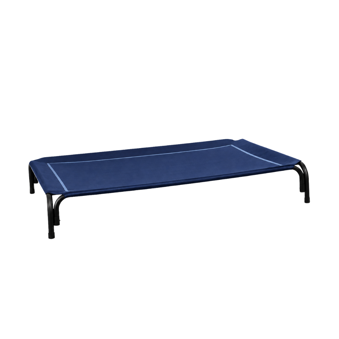 Elevated Dog Bed