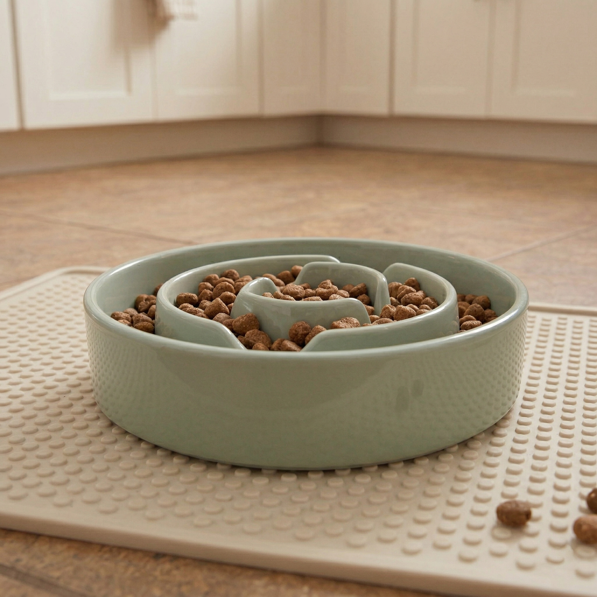 Ceramic Slow Feeder Dog Bowl