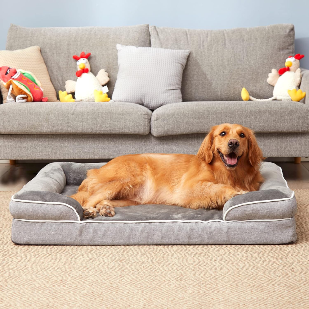 Luxe Memory Foam Dog Bed