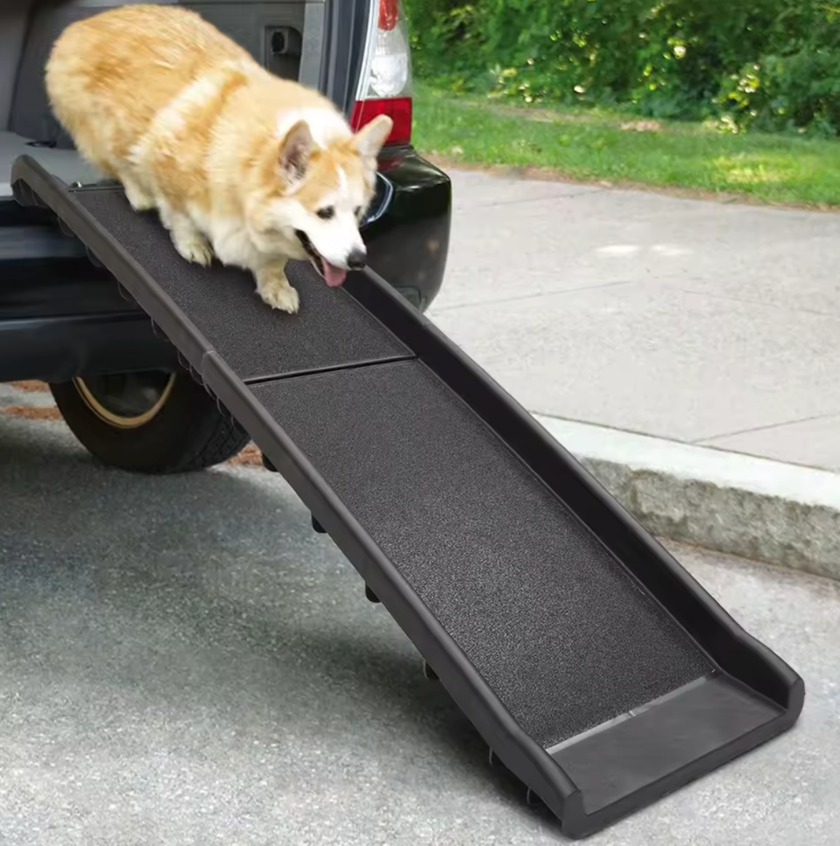 Dog Ramp for Cars
