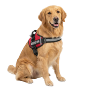Service Dog Harness